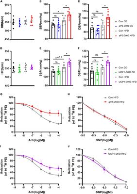 Bone morphogenetic protein 4 in perivascular adipose tissue ameliorates hypertension through regulation of angiotensinogen